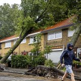 La tempête Poly a fait deux morts aux Pays-Bas et en Allemagne. Les victimes ont été écrasées par des arbres déracinés, comme ici à Haarlem.